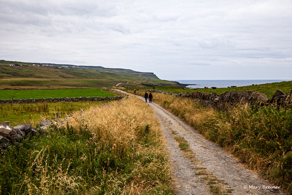 Cliff walk road to Cliffs of Moher